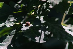 DSCF9571.JPG