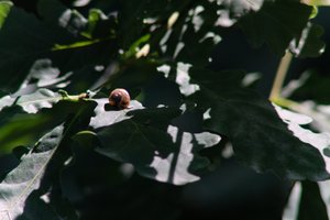 DSCF9572.JPG