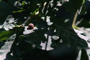 DSCF9573.JPG