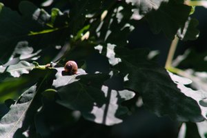 DSCF9574.JPG