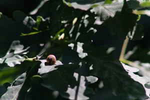 DSCF9575.JPG