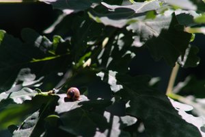 DSCF9576.JPG