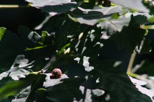 DSCF9577.JPG