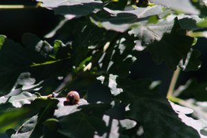 DSCF9578.JPG