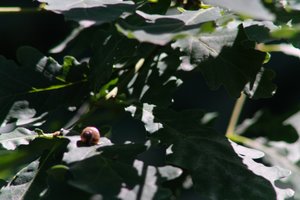 DSCF9579.JPG