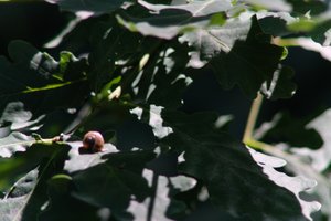 DSCF9580.JPG