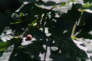 DSCF9581.JPG