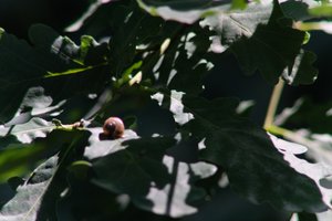 DSCF9583.JPG