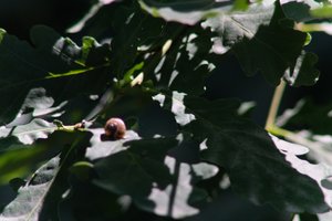 DSCF9584.JPG
