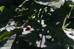 DSCF9587.JPG
