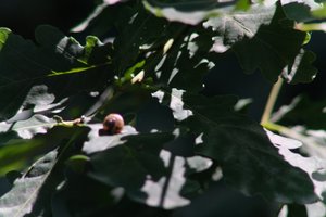 DSCF9588.JPG