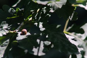 DSCF9589.JPG