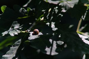 DSCF9594.JPG