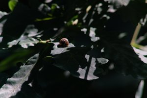 DSCF9596.JPG