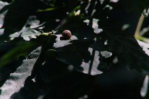 DSCF9599.JPG