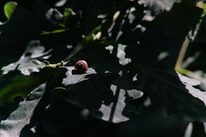 DSCF9601.JPG