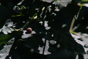 DSCF9603.JPG