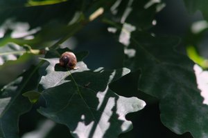 DSCF9607.JPG