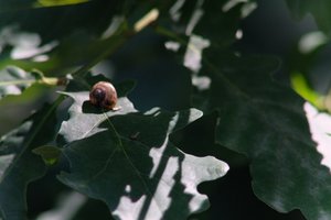 DSCF9608.JPG