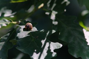 DSCF9609.JPG