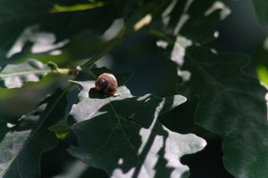 DSCF9612.JPG