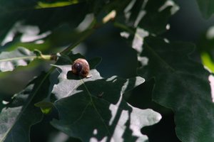 DSCF9613.JPG