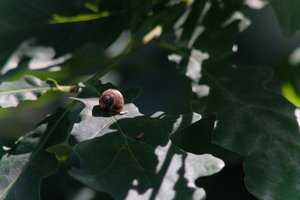 DSCF9614.JPG