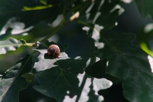 DSCF9615.JPG