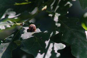 DSCF9616.JPG