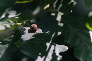 DSCF9617.JPG