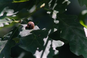DSCF9618.JPG