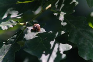 DSCF9621.JPG