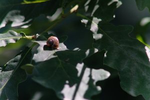 DSCF9623.JPG