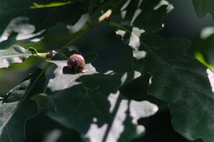 DSCF9624.JPG