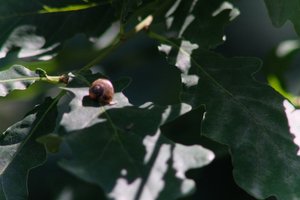 DSCF9625.JPG