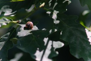 DSCF9627.JPG