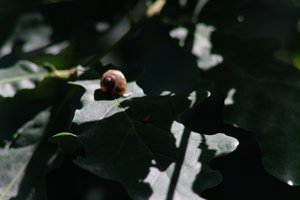 DSCF9629.JPG