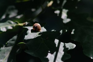 DSCF9630.JPG