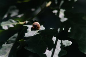 DSCF9631.JPG