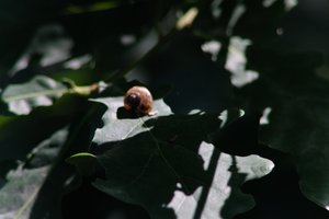DSCF9632.JPG