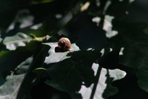 DSCF9633.JPG