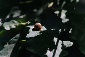 DSCF9635.JPG