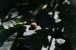 DSCF9637.JPG