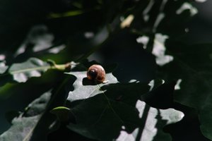 DSCF9638.JPG