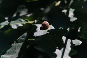 DSCF9641.JPG
