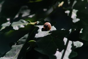 DSCF9642.JPG