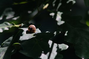 DSCF9645.JPG