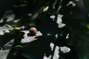 DSCF9646.JPG