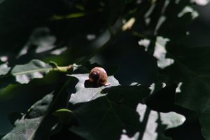 DSCF9648.JPG