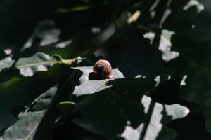 DSCF9649.JPG